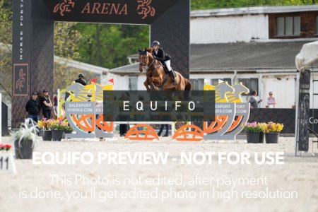 CSIO_Zduchovice_2025_Wed_J_135-0042.jpg