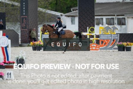 CSIO_Zduchovice_2025_Wed_J_135-0205.jpg