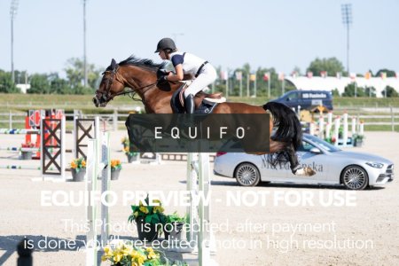 2024_Olympic_Spirit_SAT_CSI2_SILVER_140-0228.jpg