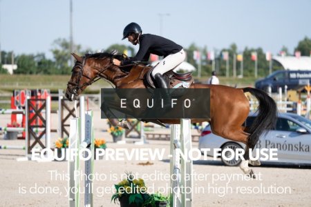 2024_Olympic_Spirit_SAT_CSI2_SILVER_140-0296.jpg