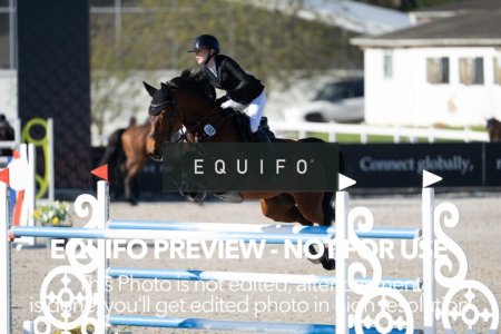 CSIO_Zduchovice_2025_SUNDAY_J_GP-0078.jpg