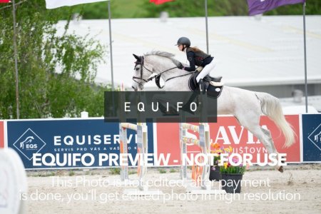 CSIO_Zduchovice_2025_THU_CH_125-0197.jpg