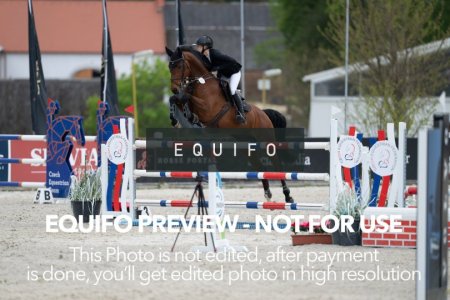 CSIO_Zduchovice_2025_Wed_J_135-0134.jpg