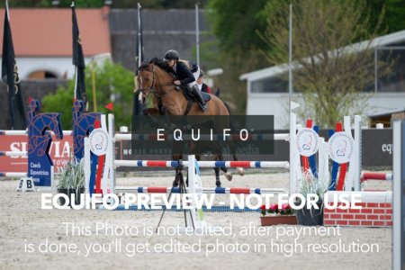 CSIO_Zduchovice_2025_Wed_J_135-0207.jpg