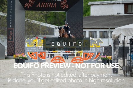 CSIO_Zduchovice_2025_Wed_J_135-0290.jpg