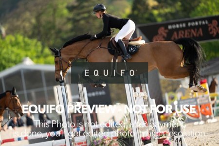 CSIO_Zduchovice_2025_Wed_J_135-0307.jpg